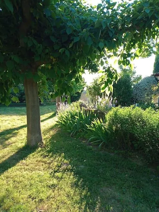 Villa Avec Piscine Dans Un Avre De Verdure Caderousse
