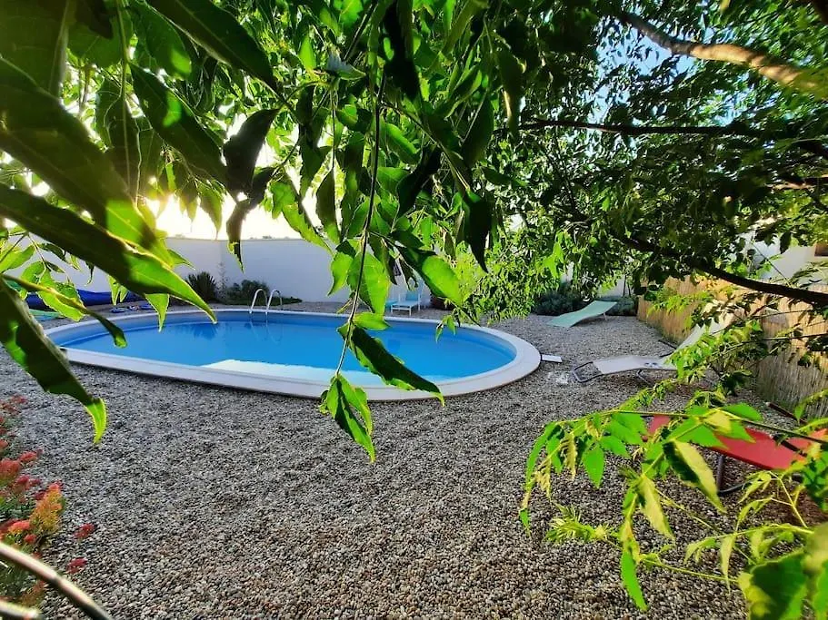 Villa Avec Piscine Dans Un Avre De Verdure Caderousse 0*,  France